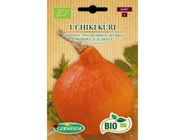 Sementes  Bio Sementes Abóbora Uchiki Kuri