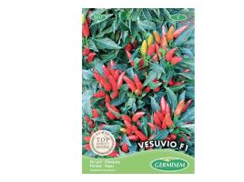 Sementes  Piri Piri Vesuvio F1