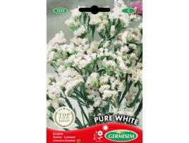 Sementes  Estatice Branco