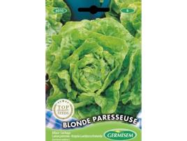 Sementes  Alface Repolho Blonde Paresseuse
