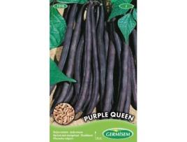 Sementes  Feijão Anão Purple Queen