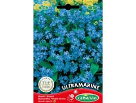 Sementes  Miosótis Ultramarine