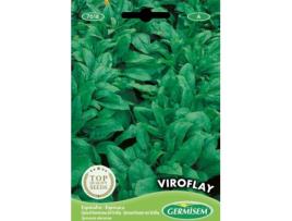 Sementes  Espinafre Viroflay