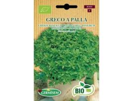 Sementes  Bio Sementes Manjericão Grego