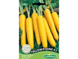 Sementes  Cenoura Amarela Yellowstone F1