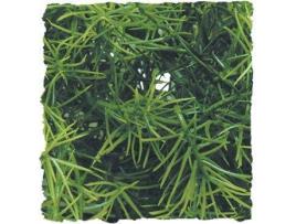 Adorno para Répteis  Cashuarina (Verde - 40 cm - Plástico)