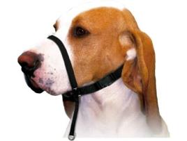 Açaime para Treino Cães  (L - Nylon)