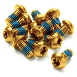 Parafusos De Disco 12 Unidades M5 x 10 mm Gold