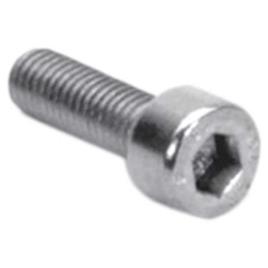 Schwarz Screw Hexagonal 10 Units M6 x 25 mm Silver