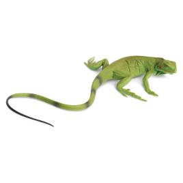 Safari Ltd Iguana Bebé From 3 Years Green