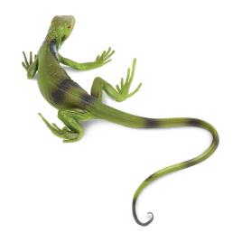 Safari Ltd Iguana Bebé From 3 Years Green