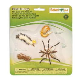 Safari Ltd Ciclo De Vida De Un Mosquito From 3 Years Multicolor