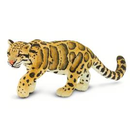 Safari Ltd Leopardo Nebuloso From 3 Years Yellow / Brown