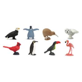 Safari Ltd Fun Pack Aves From 3 Years Multicolor