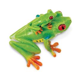 Safari Ltd Rã De Olhos Vermelhos From 3 Years Green