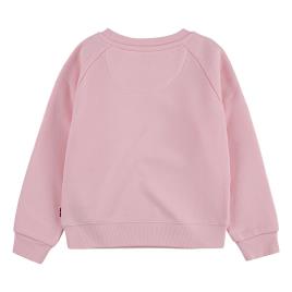 Suéter Raglan Infant 18 Months Rose Shadow