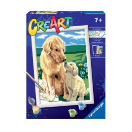 Criar Série Ser No Campo Retriever 7-10 Years Multicolor