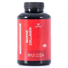 Pangea Colágeno 60 Unidades One Size Black