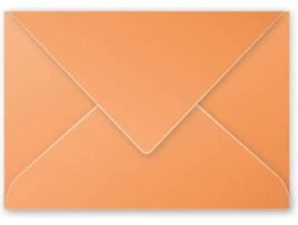 Envelope  5492C