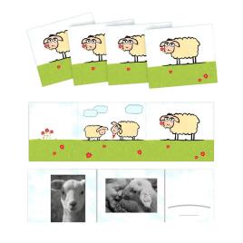 Daiber Schaf 13x18 Cm Kids Portrait Folders One Size White