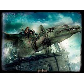 Drake Puzzle Harry Potter Lenticular 500 Peças One Size Multicolor