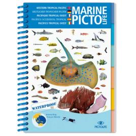 Pictolife Marine Asian Pacific One Size Blue / White