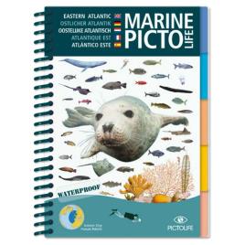 Marine Eeastern Atlantic One Size Blue / White