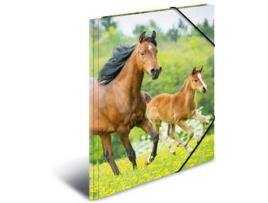 Pasta  Multicor (A3)