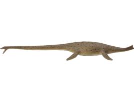 Figura COLLECTA Thalassomedon