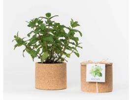 Vaso LIFE IN A BAG Grow Cork Pot Hortelã