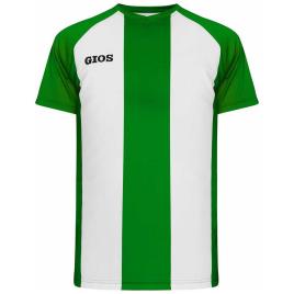 Camiseta Manga Corta Settanta M Green / White