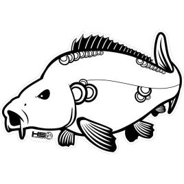 Sticker Carp 30x21 cm White