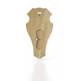 Eurohunt Escudo De Carvalho Troféu Cervo 1 52 x 26 cm Light Brown