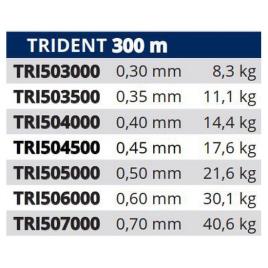 Monofilamento Trident 300 M 0.400 mm Clear