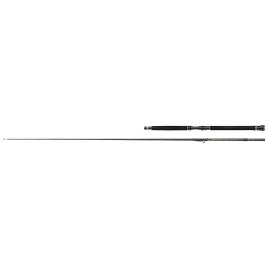 Cana Corriços Regiment Iii Inner Boat 2.44 m Grey