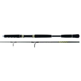 Seika Cana Jigging Ardens 1.65 m Black
