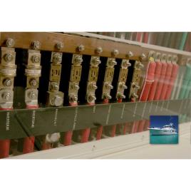 Anl Fuse 200 A Gold / Silver
