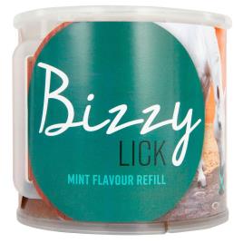 Bizzy Hortelã Rocksalt 1 Kg One Size