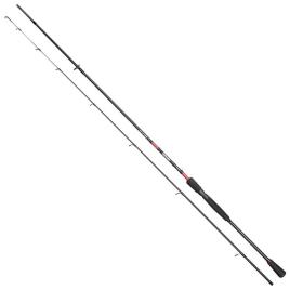 Cana Jigging Spin 3.00 m Black