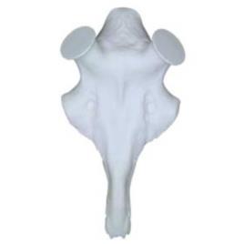 Chifres De Gamo Crânio Artificial 30 mm White