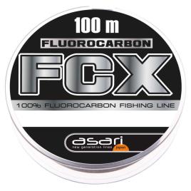 Fio Fcx 100 M 0.300 mm Clear