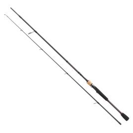 Berkley Cana Baitcasting E-motion 1.98 m Black