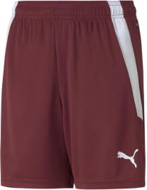 Calções  teamLIGA Shorts Jr 704931-009 Tamanho 176