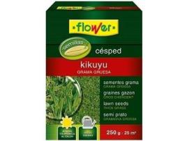 Semente FLOWER CM-3858 (250 g)