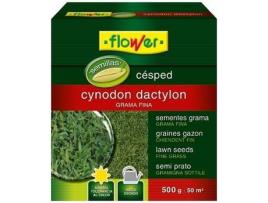 Semente FLOWER CM-3857 (500 g)