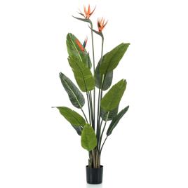 Emerald Planta estrelícia artificial em vaso com flores 120 cm