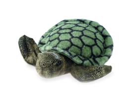 Peluche AURORA Tartaruga Mini Flopsies 17 cm