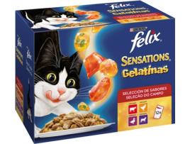 Rações para Gatos  (12 Un - 100g - Sabor: Carne)