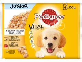 Rações para Cães  (4 Un - 100g)