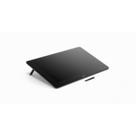 DTH2420 CINTIQ PRO 24 TOUCH